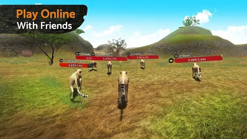 Использование мод-меню в The Cheetah